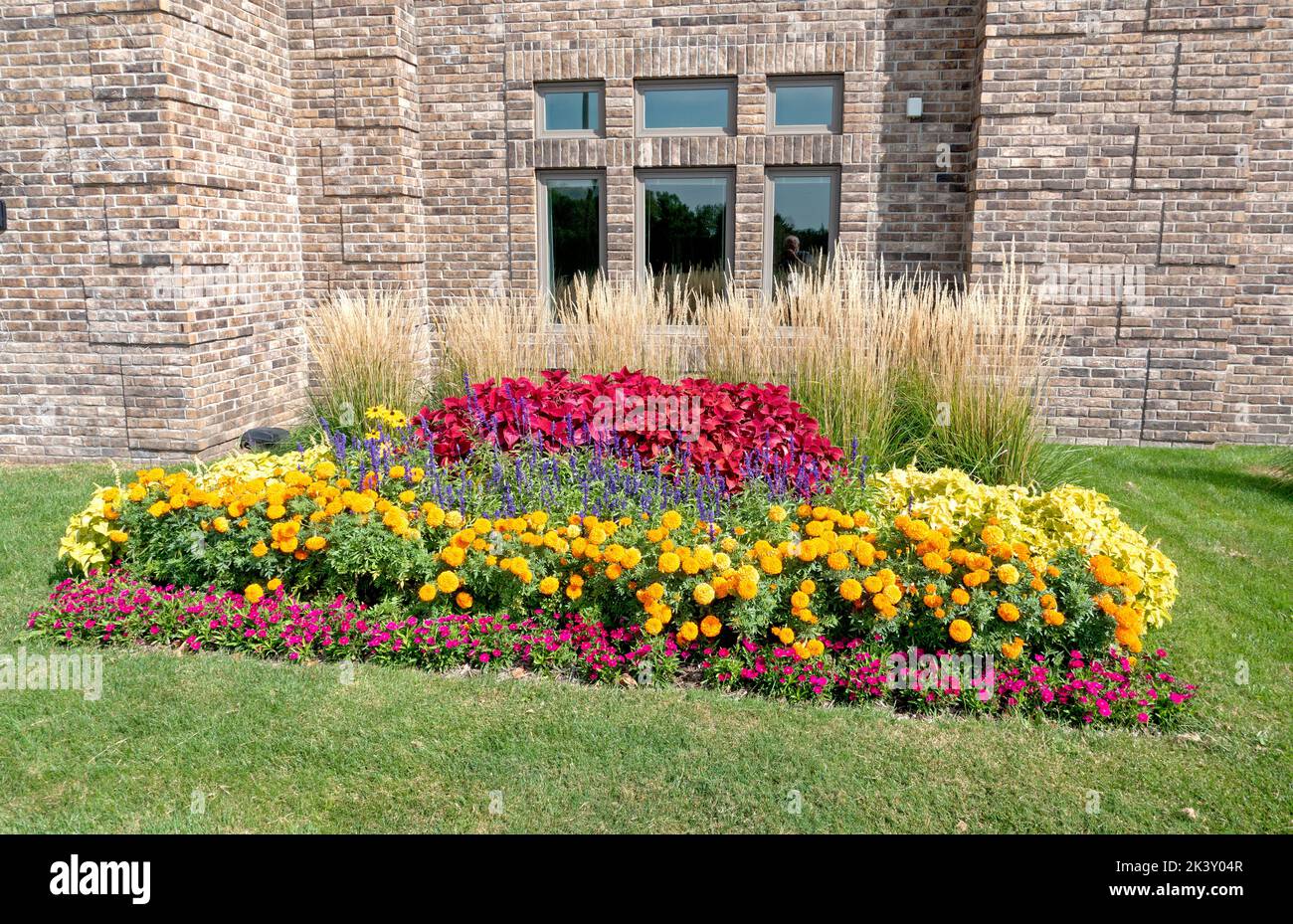 Well manicured flower bed with yellow, red and purple flowers. Brooklyn Center Minnesota MN USA Stock Photo