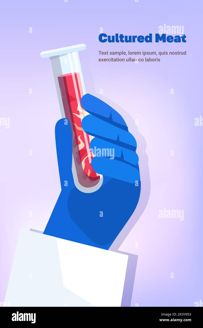 scientist hand holding test tube with cultured red raw meat made from animal cells artificial lab grown meat production concept vertical copy space ve Stock Vector