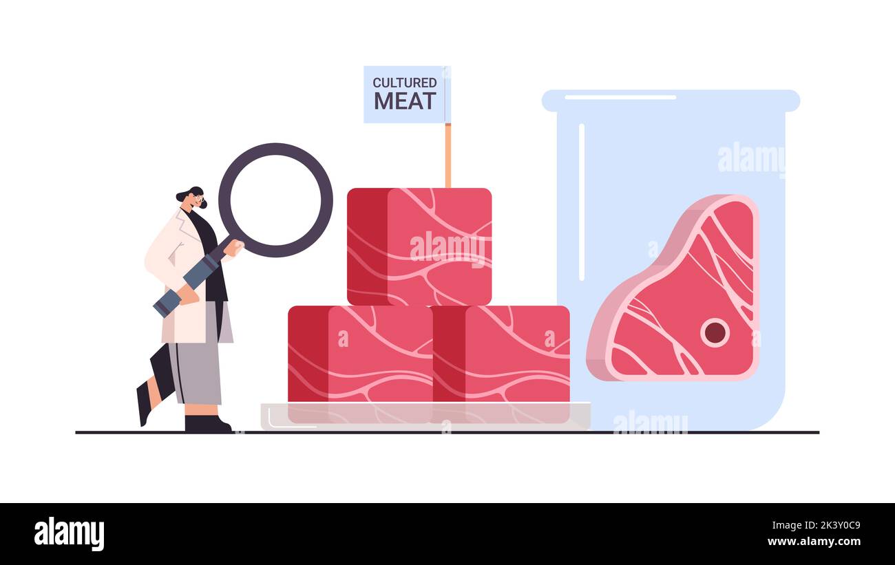 scientist analyzing cultured red raw meat made from animal cells artificial lab grown meat production concept horizontal vector illustration Stock Vector