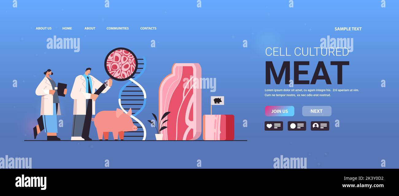scientists analyzing dna of cultured red raw meat made from animal