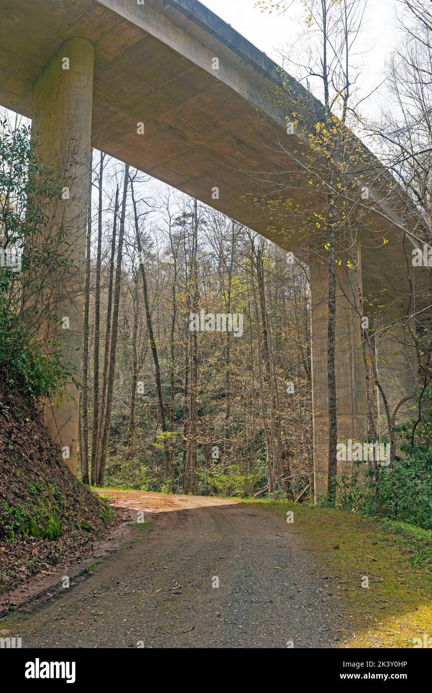 Hiking Trail Under a Curving Road Bridge in the Great Smoky Mountains in North Carolina Stock Photo
