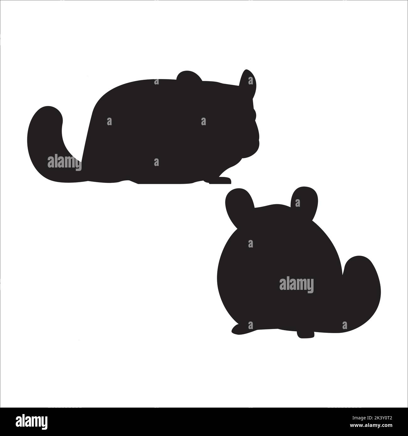 Vector Set Of Cute Chinchilla Silhouettes Illustration Isolated On White Background Stock Vector