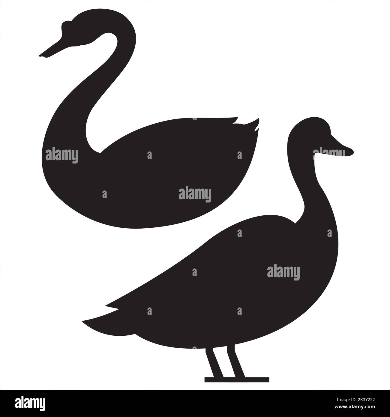 Vector Set Of Swan Silhouettes Illustration Isolated On White