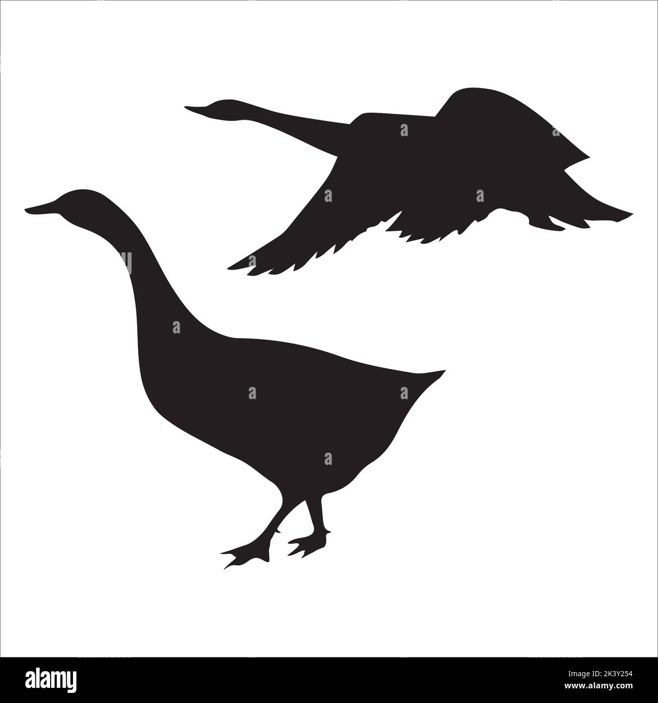 Vector Set Of Swan Silhouettes Illustration Isolated On White