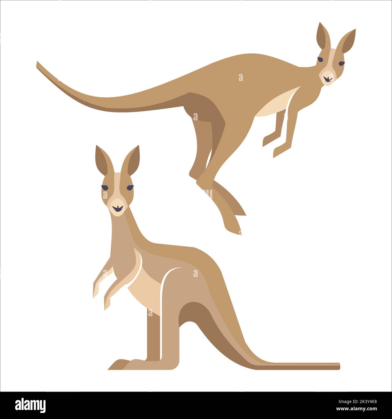 Vector Set Of Kangaroo Illustration Isolated On White Background Stock