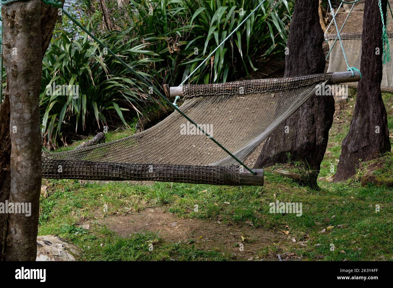 An empty hammock hangs between trees, a welcome resting spot Stock Photo