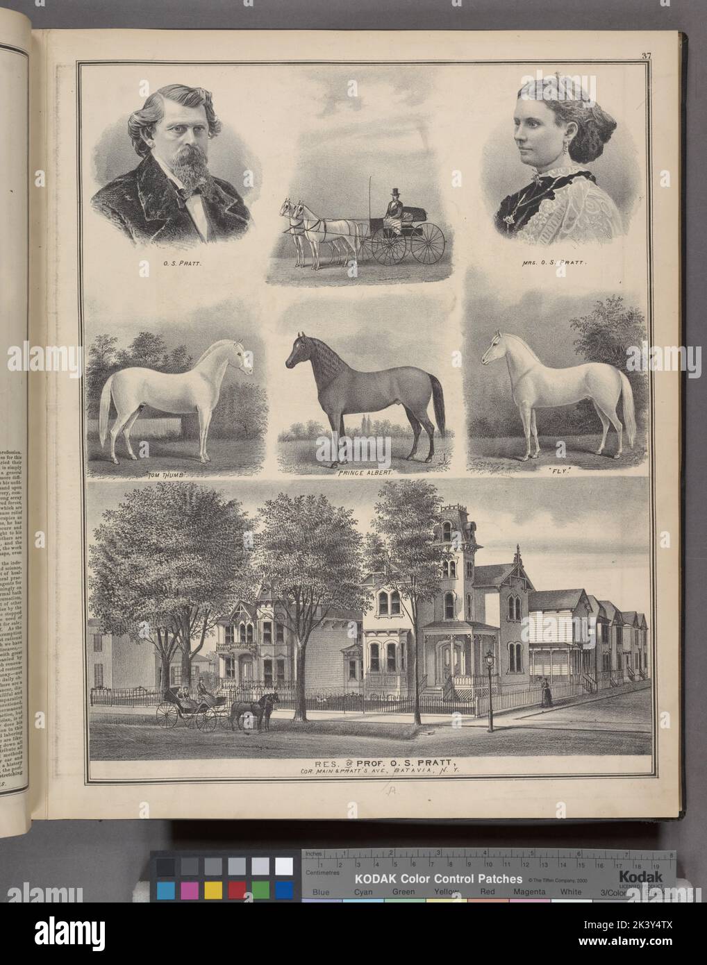 O. S. Pratt. ; Mrs. O. S. Pratt. ; Tom Thumb. ; Prince Albert. ; 