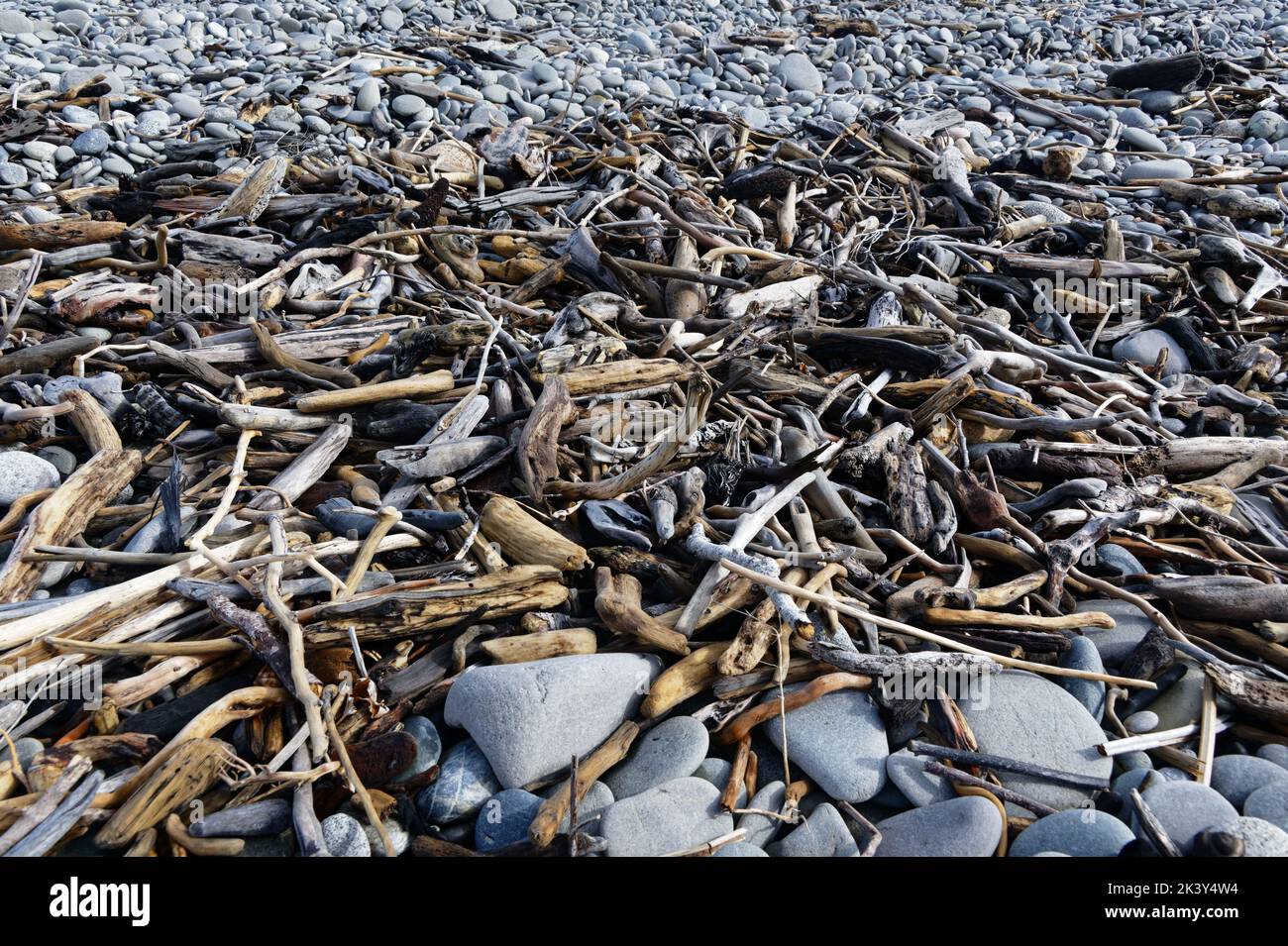 Driftwood sits on top of rocks and stones on a beach in Aotearoa, New Zealand. Stock Photo