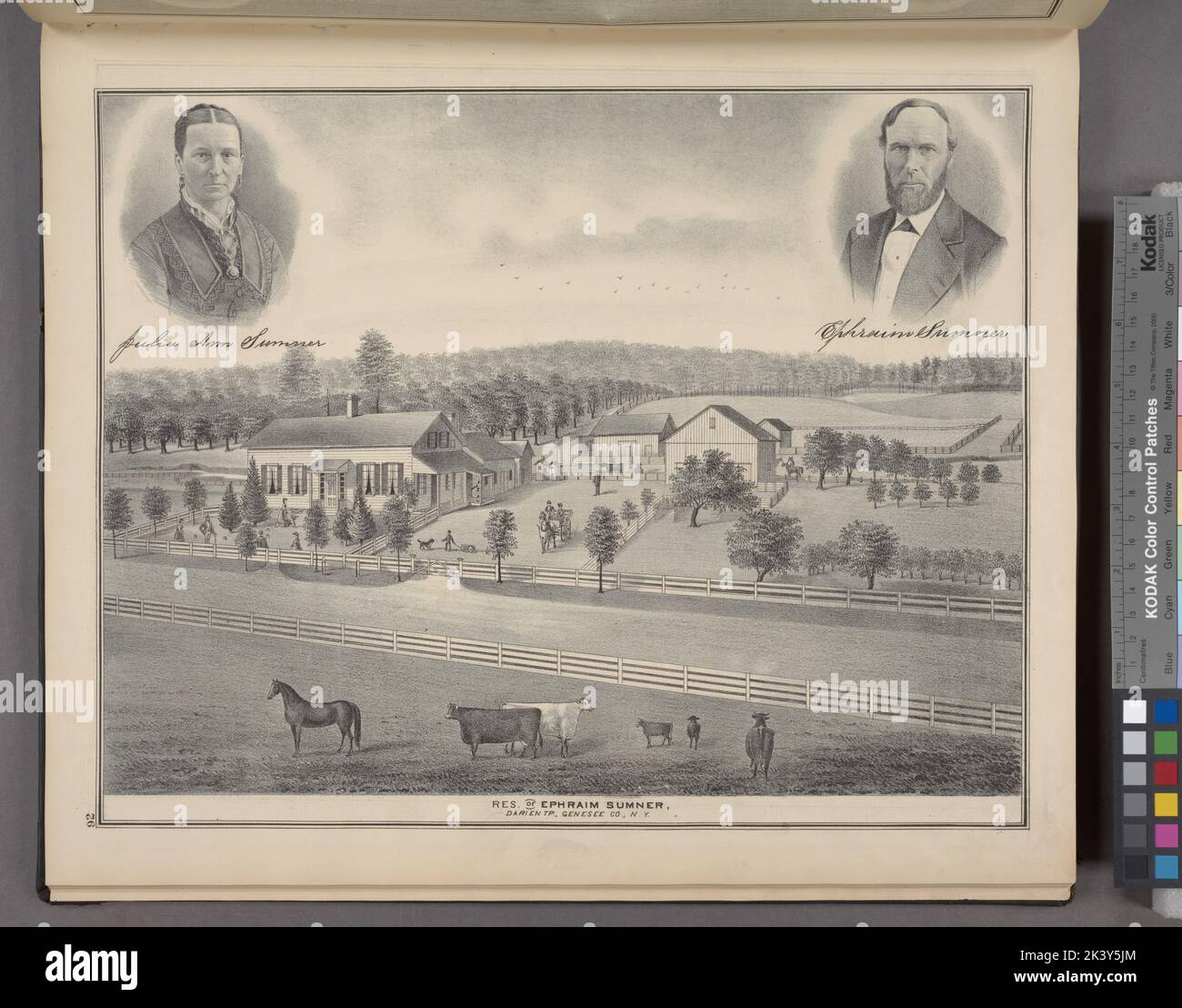 Julia Ann Sumner ; Res. of Ephraim Sumner, Darien TP., Genesee Co., N.Y