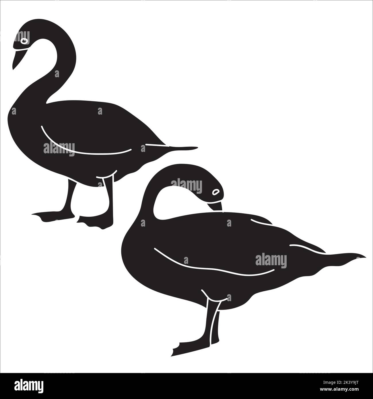 Vector Set Of Swan Silhouettes Illustration Isolated On White