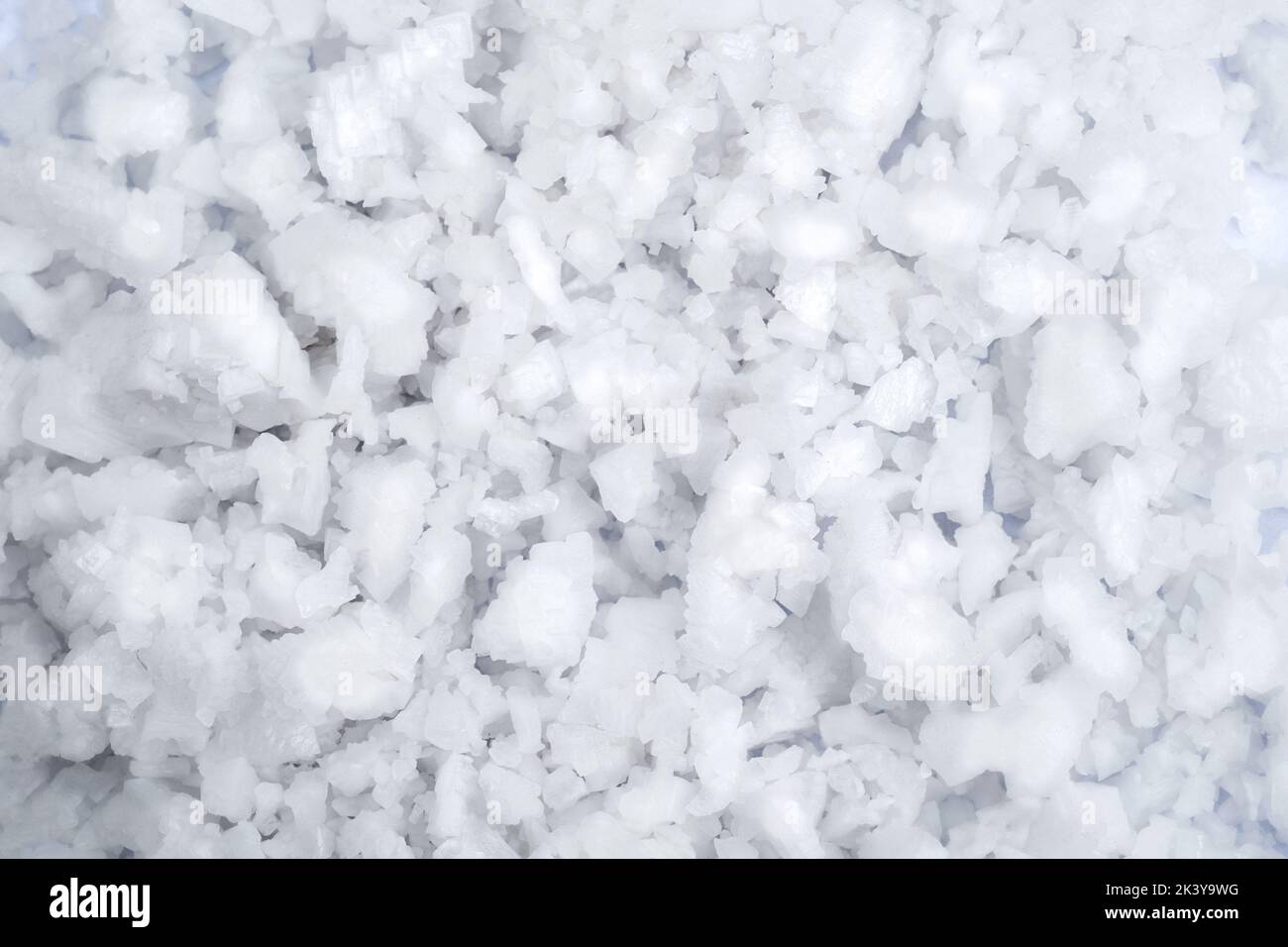 Salt&Sea Collection ·White