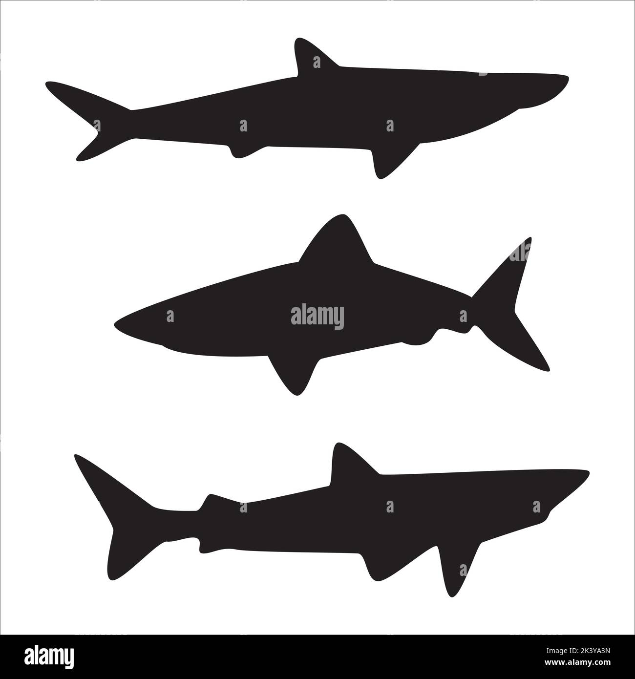 Vector Set Of Sharks Silhouettes Illustration Isolated On White ...