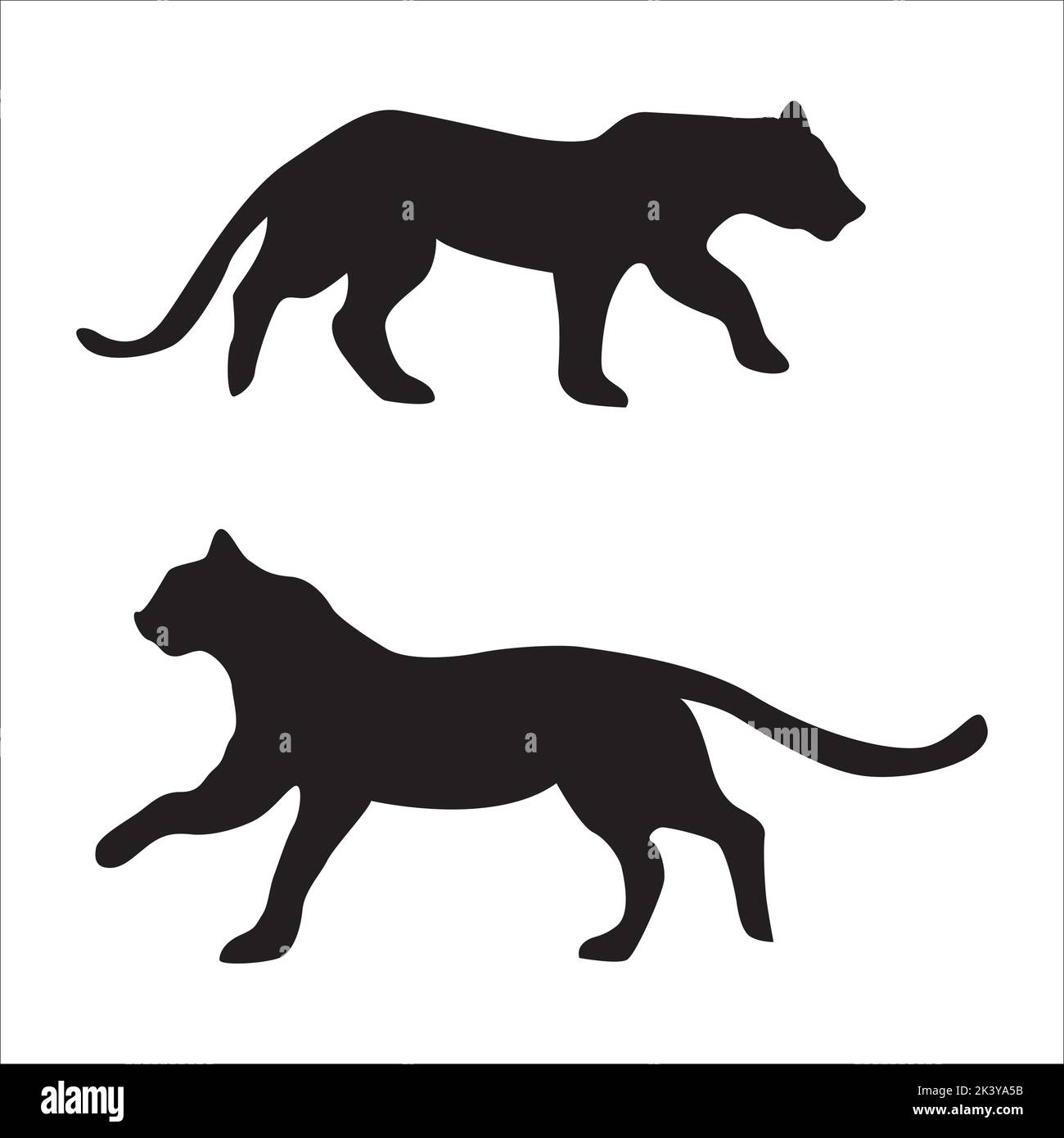 Vector Set Of Tigers Silhouettes Illustration Isolated On White Background Stock Vector