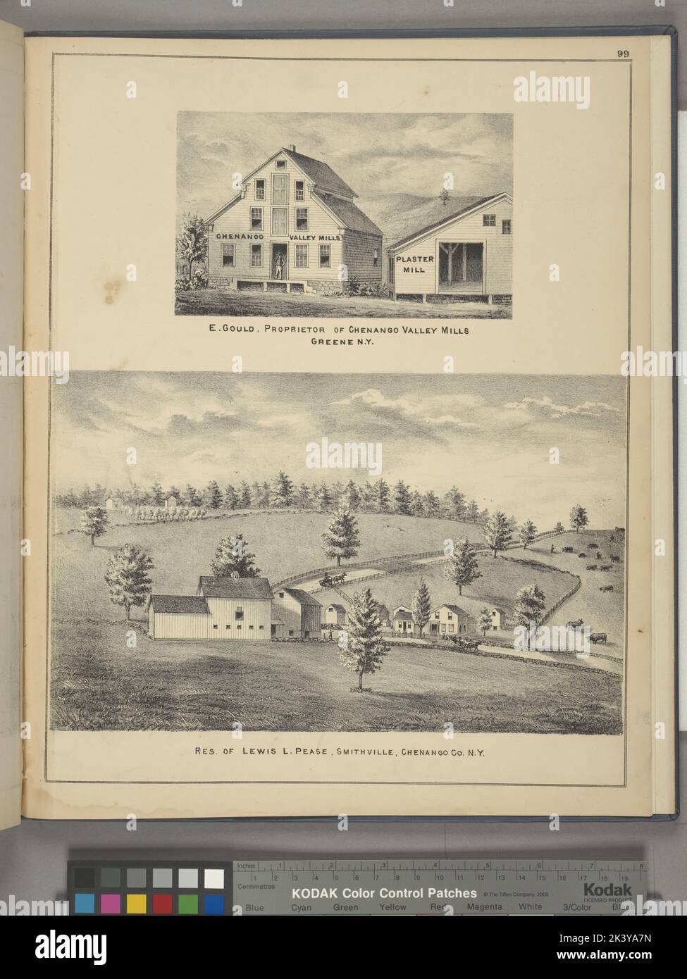 E. Gould, Proprietor of Chenango Valley Mills Greene N.Y.; Res. of