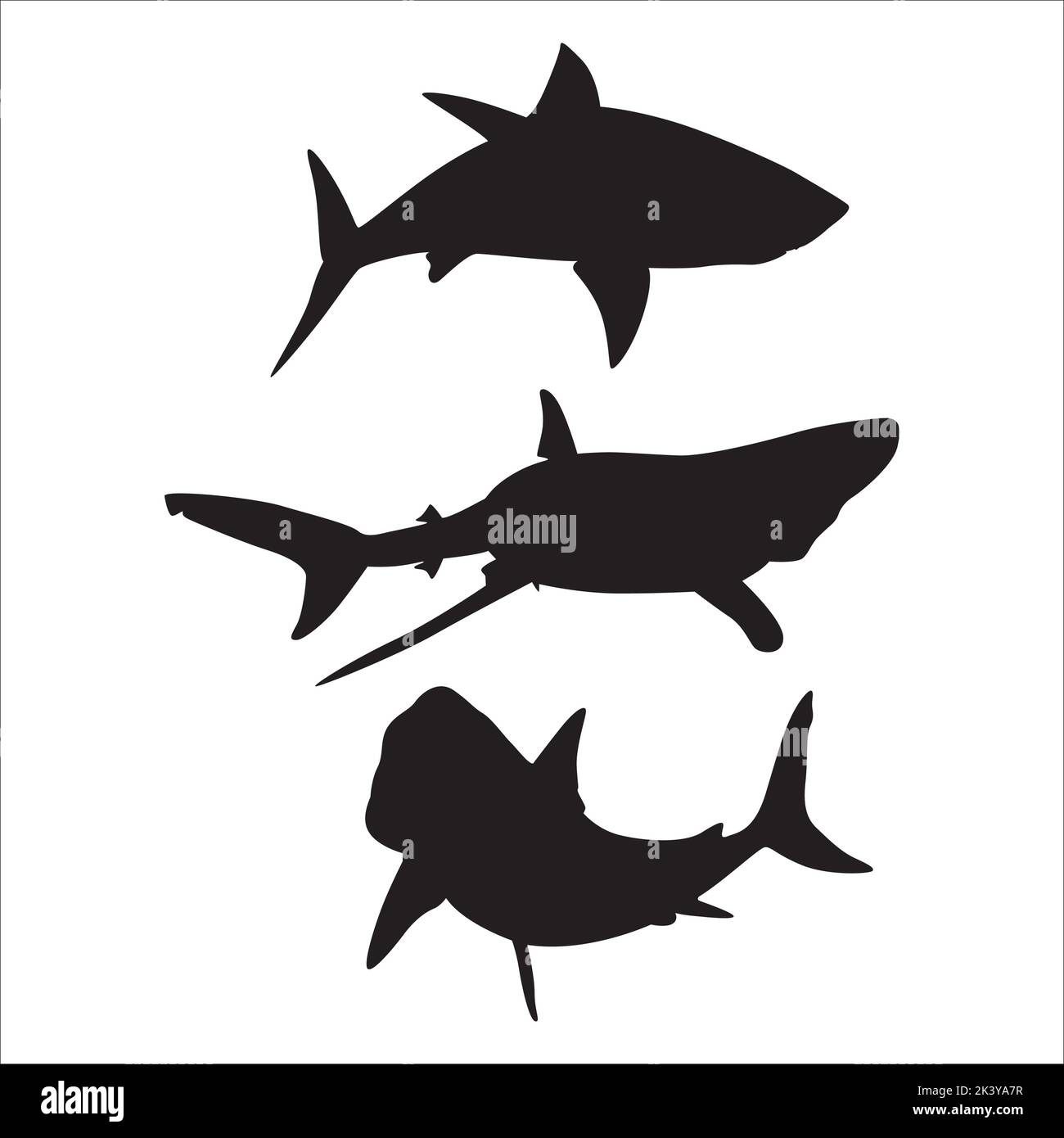 Vector Set Of Sharks Silhouettes Illustration Isolated On White ...