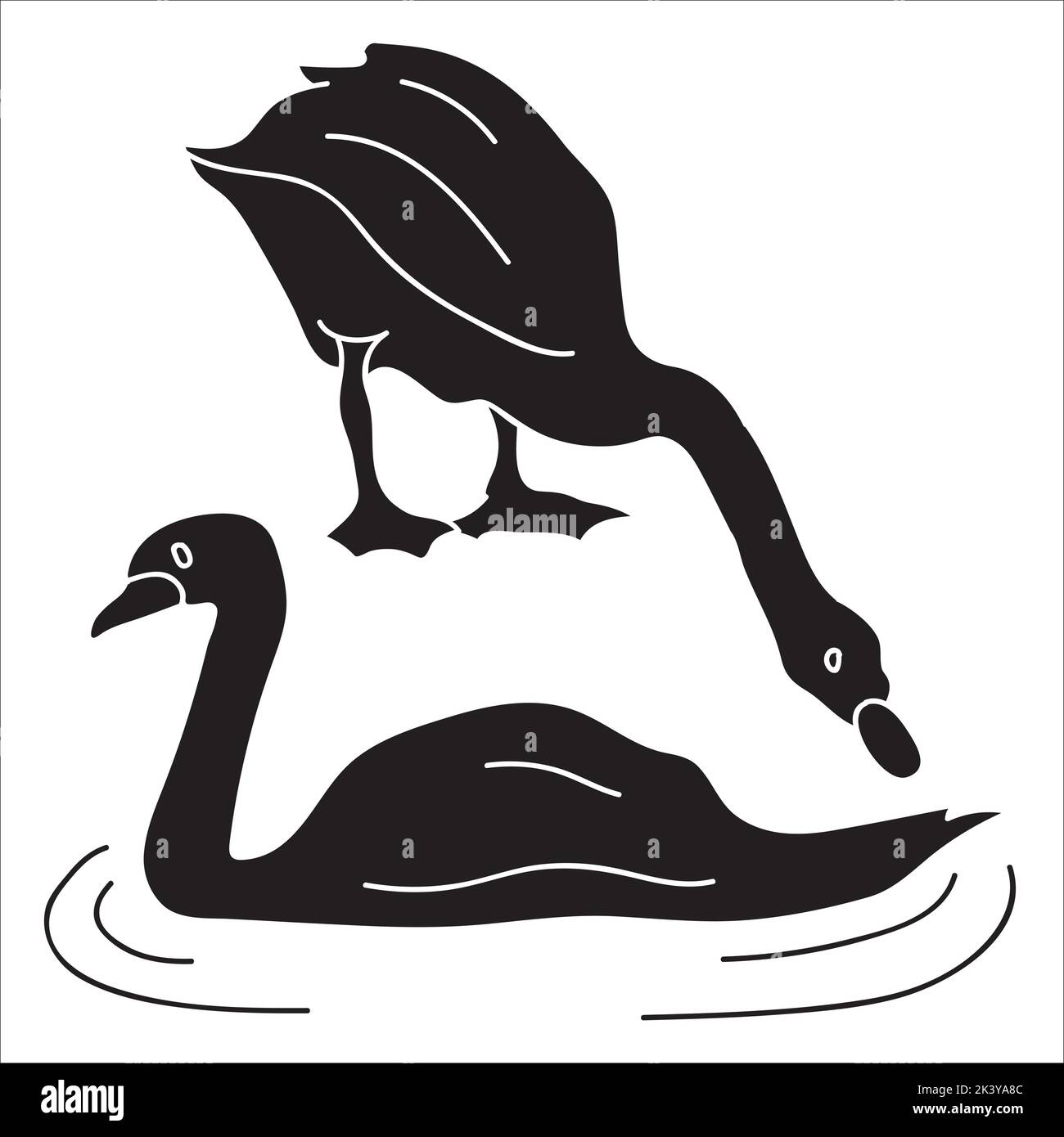 Vector Set Of Swan Silhouettes Illustration Isolated On White