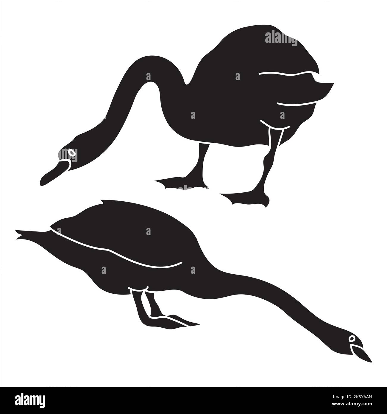 Vector Set Of Swan Silhouettes Illustration Isolated On White