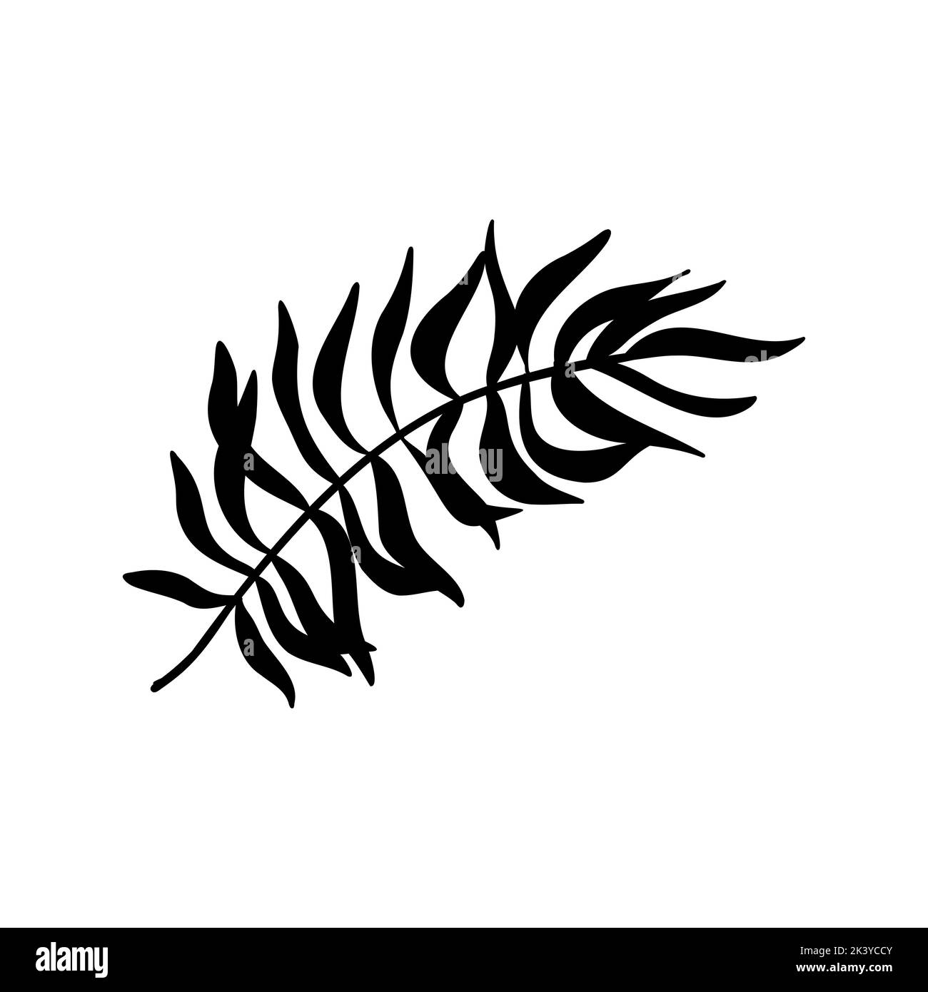 Tropical leaves. Hand drawn jungle leaf set. Vector exotic monstera ...