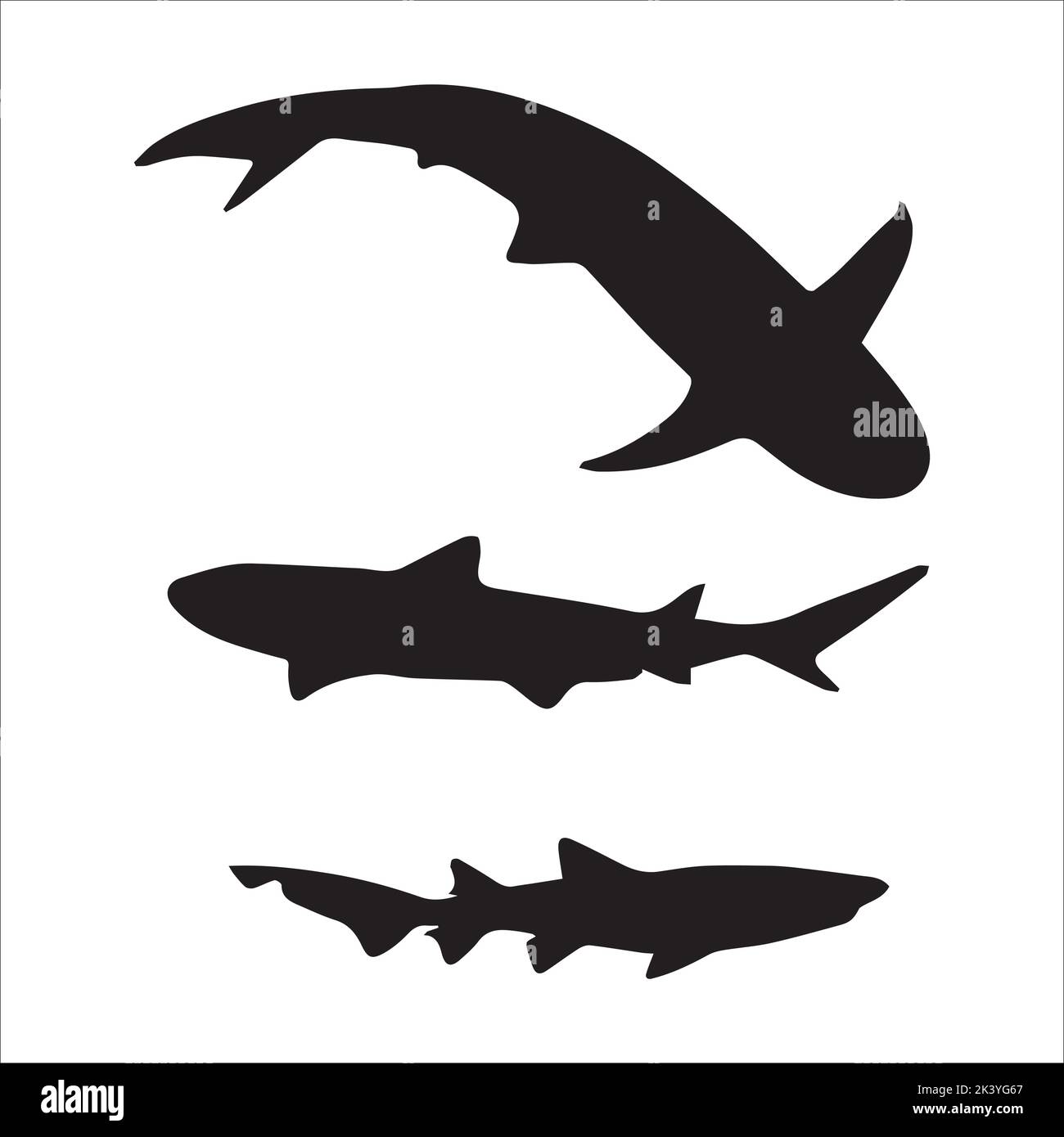 Vector Set Of Sharks Silhouettes Illustration Isolated On White ...