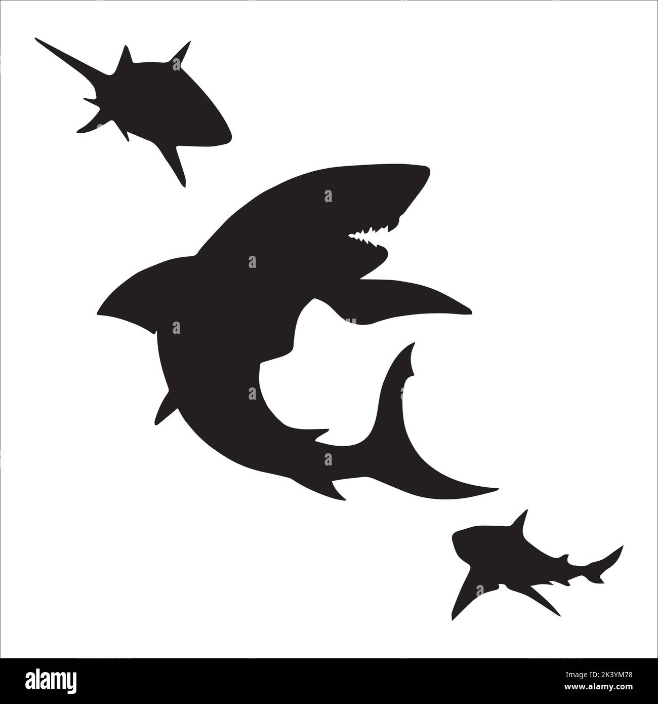 Vector Set Of Sharks Silhouettes Illustration Isolated On White ...
