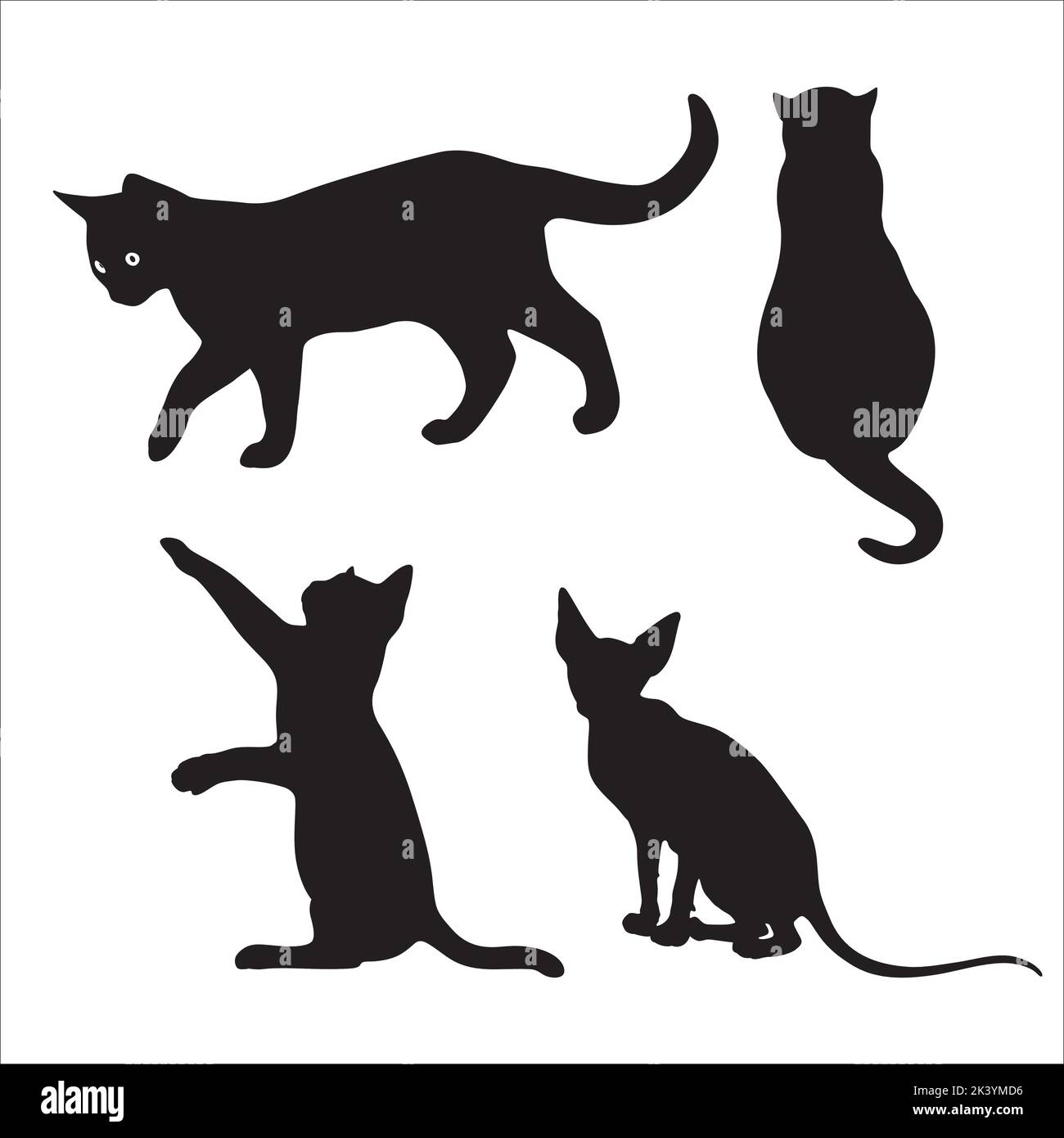 Vector Set Of Cats Silhouettes Illustration Isolated On White ...