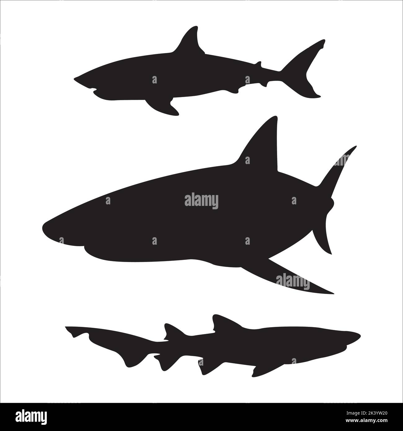 Vector Set Of Sharks Silhouettes Illustration Isolated On White ...