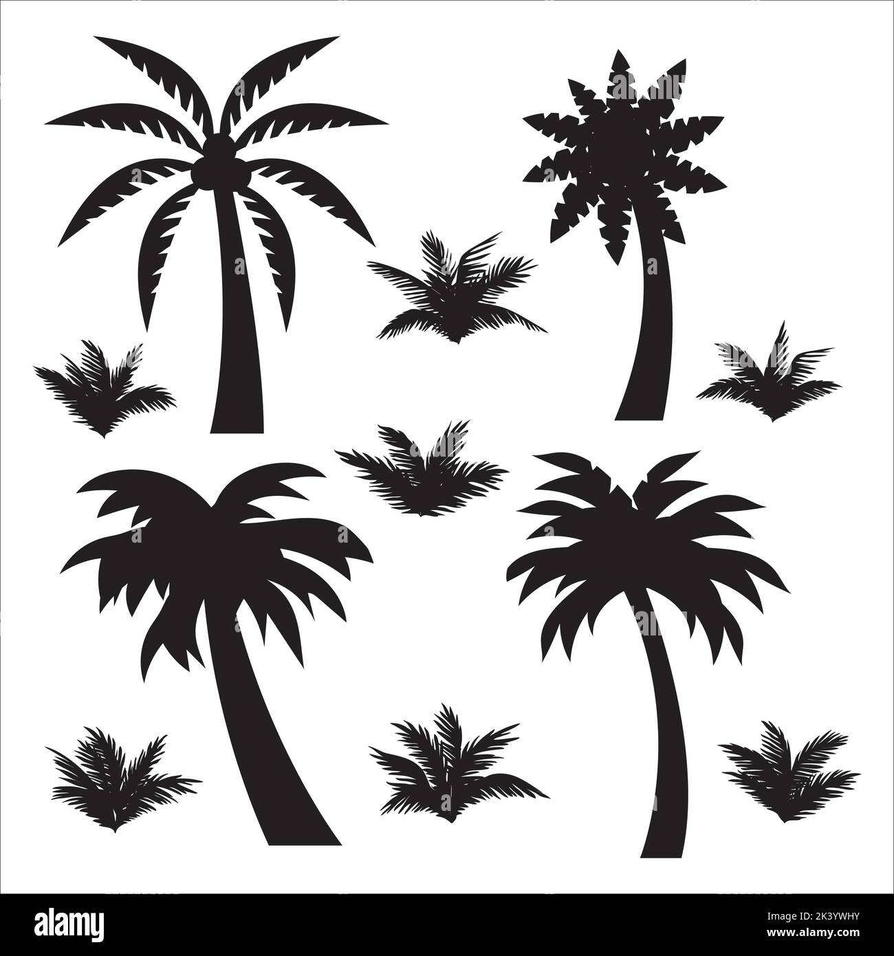 Vector Set Of Tropical Palm Trees Silhouettes Illustration Isolated On ...