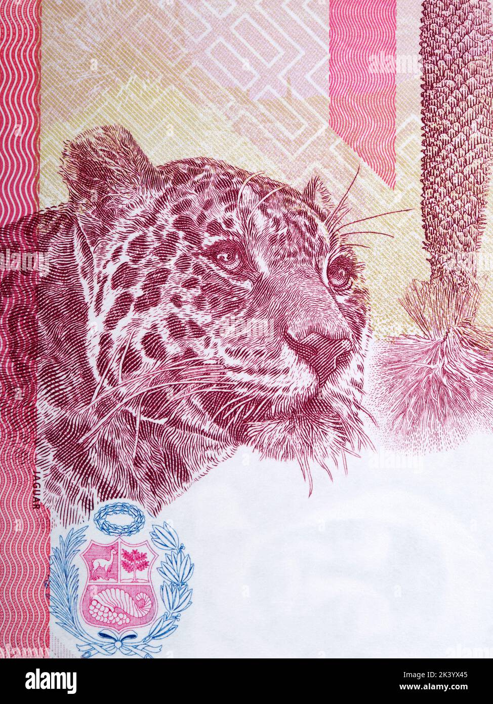 Portrait of a jaguar from Peruvian money - Soles Stock Photo