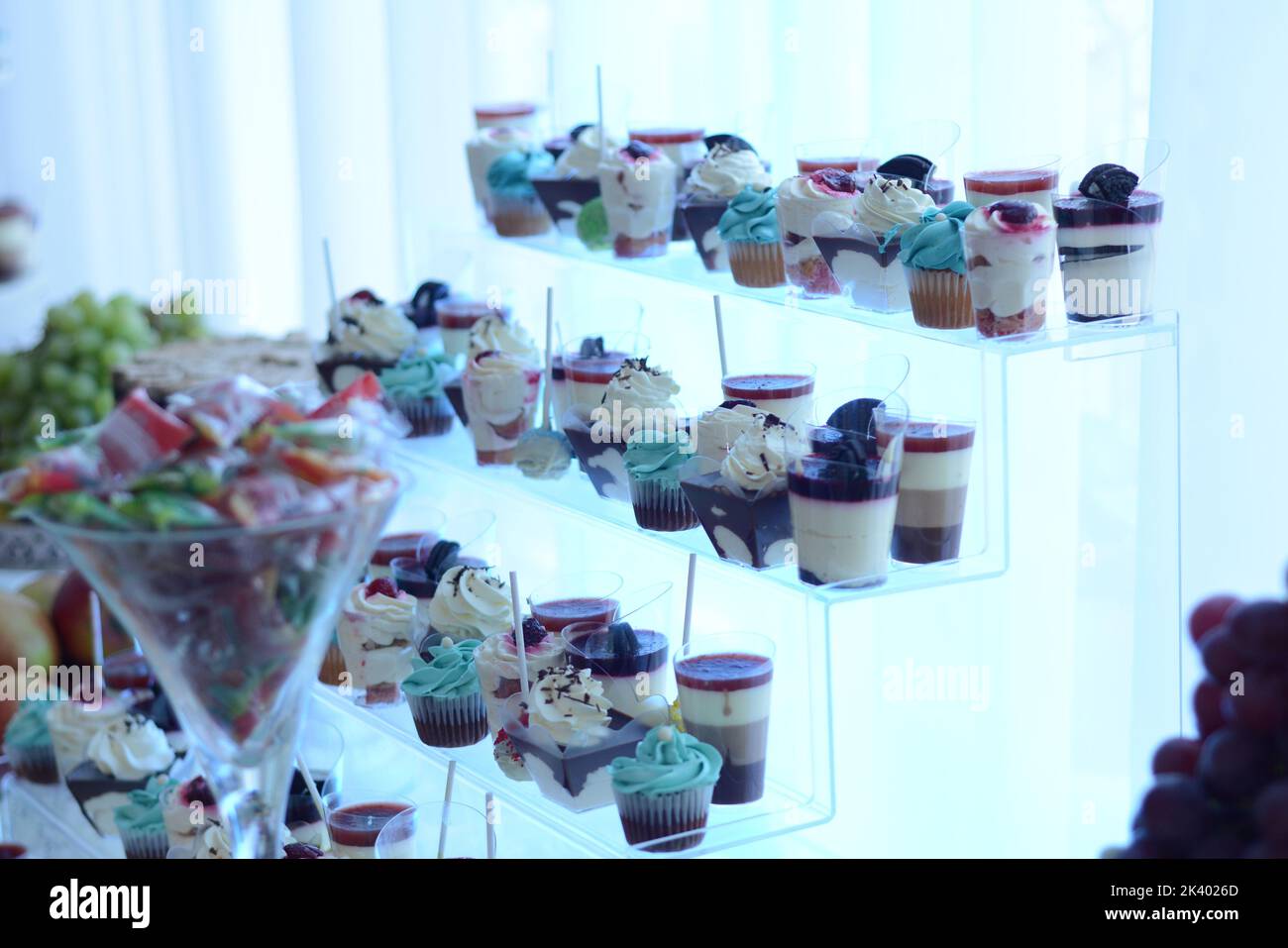 Pudding of different flavors combined with muffin, placed on a