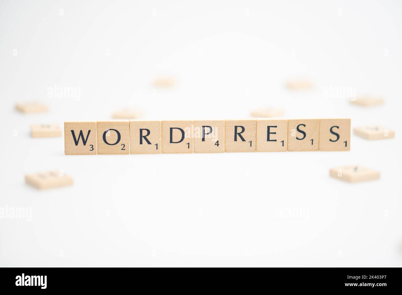 WORDPRESS word written on white background. WORDPRESS text on white for