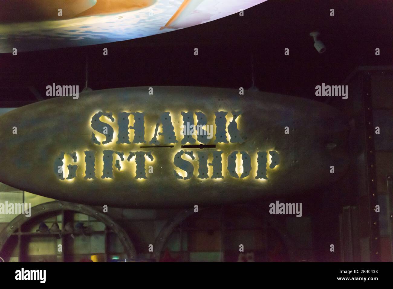 Logo for a shark gift shop Stock Photo Alamy