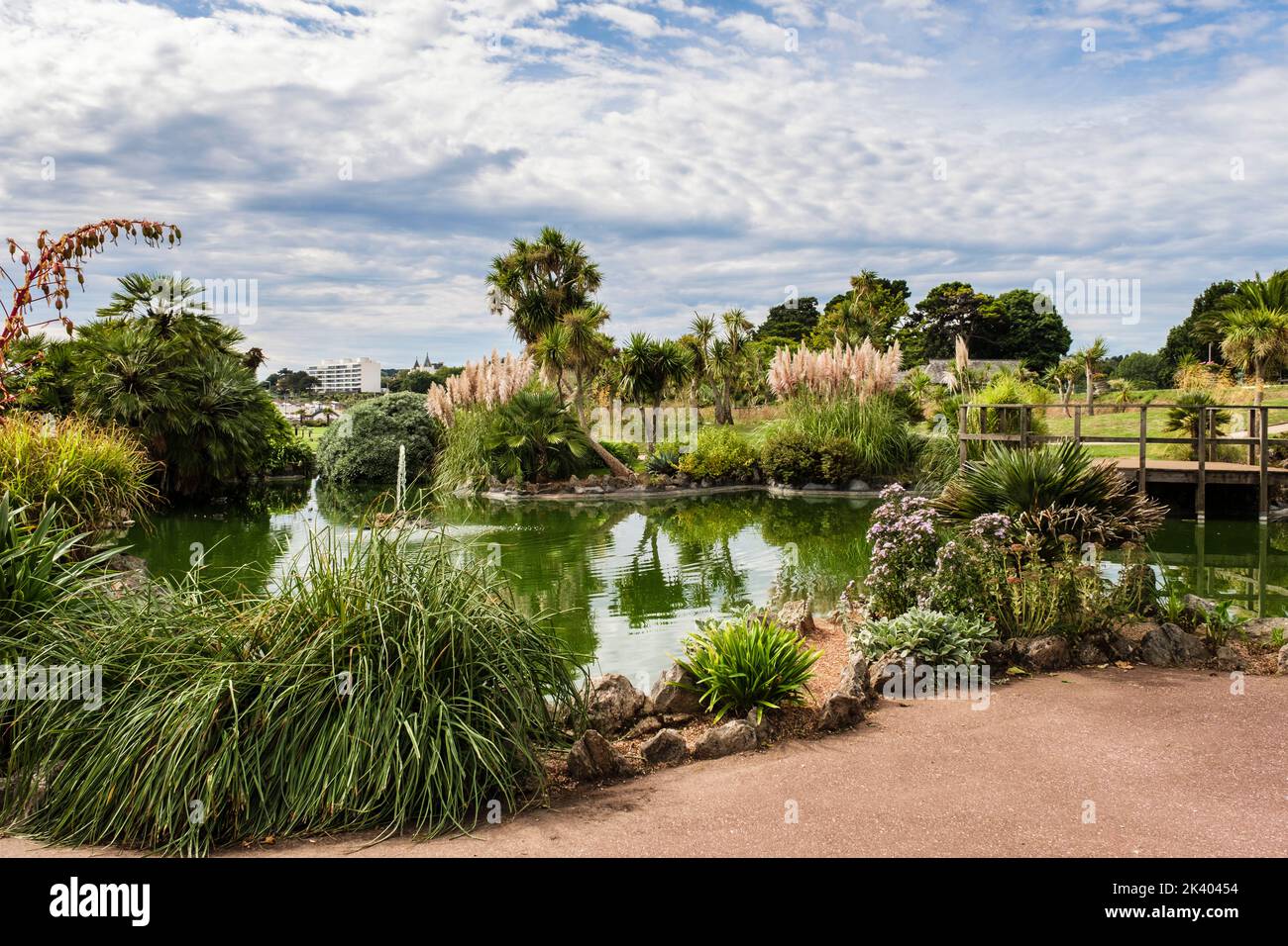 A pond in Abbey Gardens near the seafront. Torquay, Devon, England, UK, Britain Stock Photo