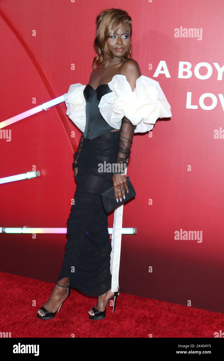 LOS ANGELES - SEP 28: Symone at the Bros Premiere at Regal LA Live on ...