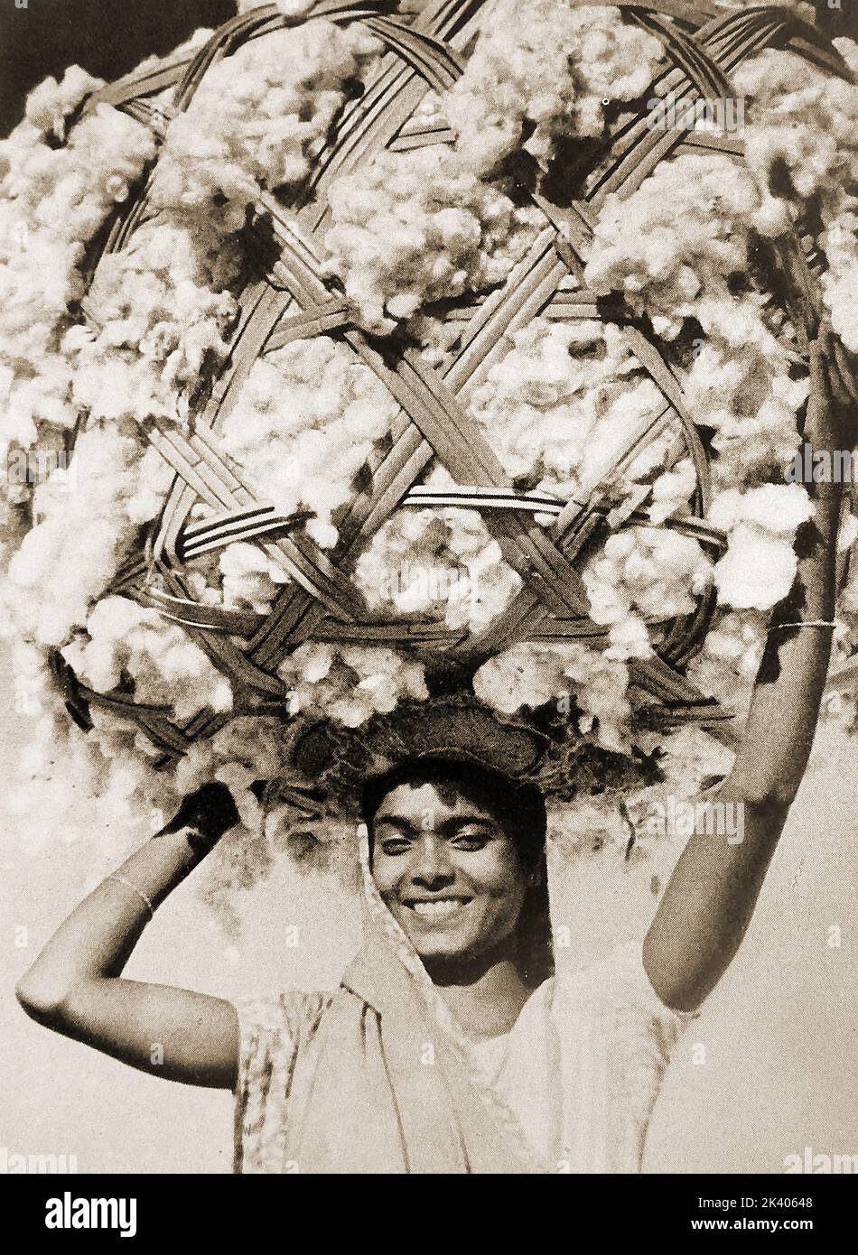 A 1947  photo of an Indian worker carrying a bale of cotton in a wicker frame on his head for use in their successful textile industry. ---   1947 में एक भारतीय कामगार की एक तस्वीर जिसमें वह अपने सफल कपड़ा उद्योग में उपयोग के लिए अपने सिर पर एक विकर फ्रेम में कपास की एक गांठ लिए हुए था।  ---۱۹۴۷ کی ایک تصویر جس میں ایک ہندوستانی مزدور اپنی کامیاب ٹیکسٹائل صنعت میں استعمال کے لیے اپنے سر پر بید کے فریم میں کپاس کی گانٹھ اٹھائے ہوئے ہے۔ Stock Photo