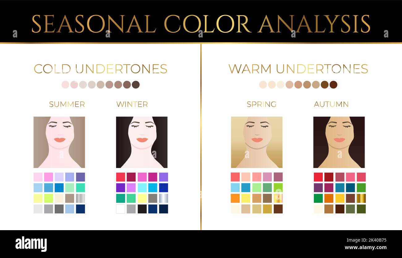 Elegant Seasonal Skin Color Analysis Illustration With Color Swatches Elegant Seasonal Skin Color Analysis Illustration With Color Swatches