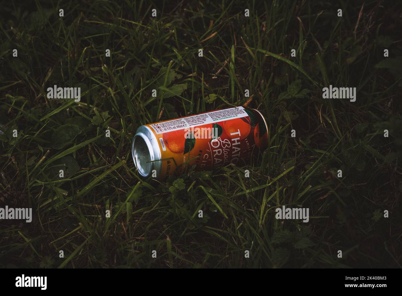 Cider can garbage on nature Stock Photo - Alamy