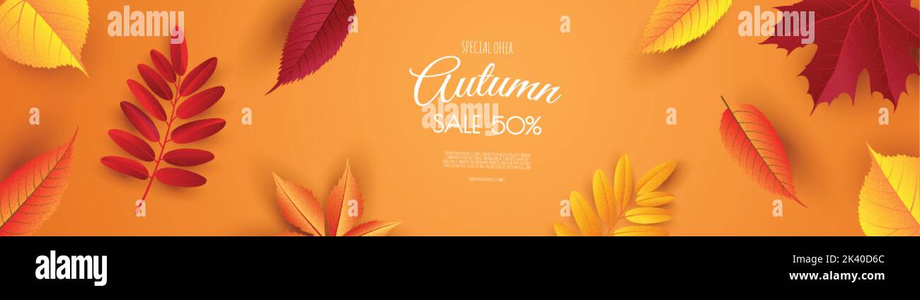 Autumn background with leaves. Vector illustration template Stock ...