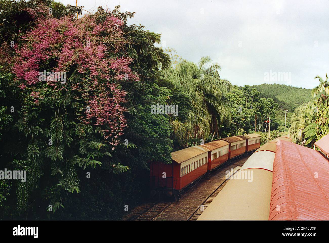Kuranda Station, at the top of the Cairns to Kuranda Scenic Railway, Far North Queensland, Australia, showing the ornamental planting along the platform.  Archival film photograph from 1993 Stock Photo