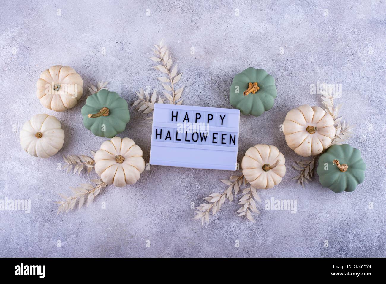 Elegant Halloween with white pumpkin Stock Photo - Alamy