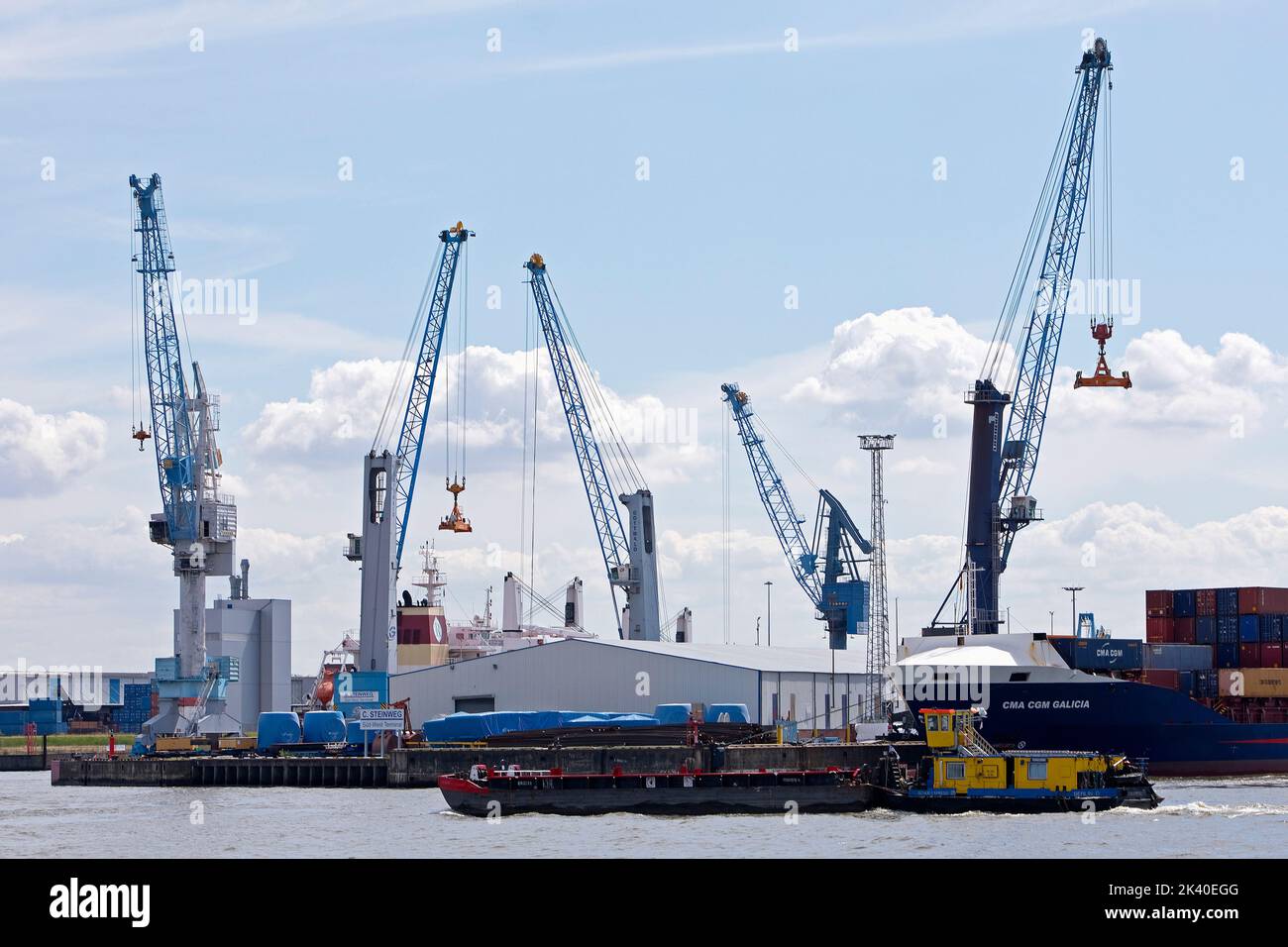 cranes in port of Hamburg-Steinwerder at the South West Terminal, North Elbe, Germany, Hamburg Stock Photo