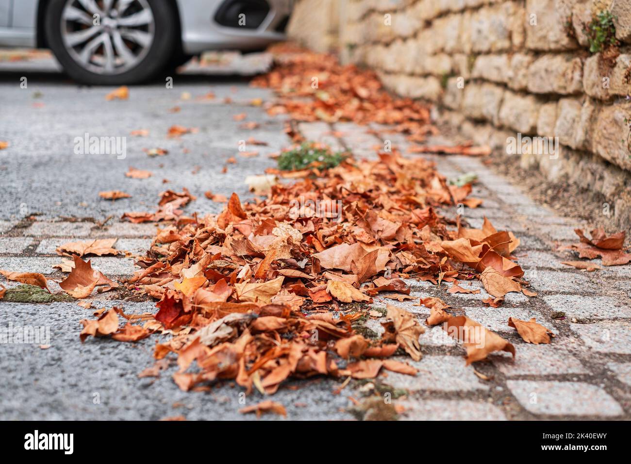 Dry autumn leaves on the paved road. Car parking on the background Stock Photo Alamy