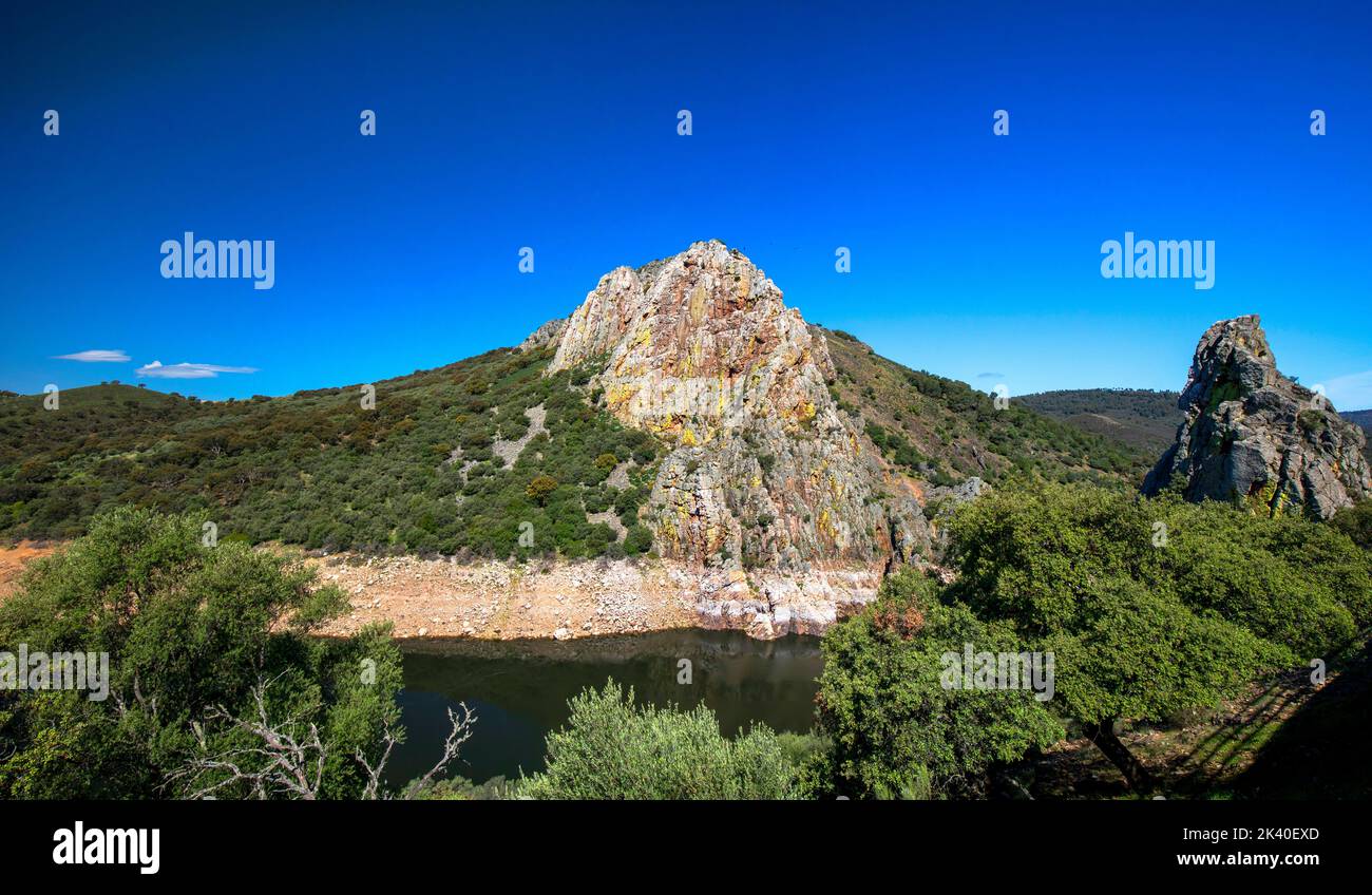 Vulture rock and breeding colony of griffon vultures at the Salto del Gitano NP, Spain, Extremadura, Monfrague National Park Stock Photo