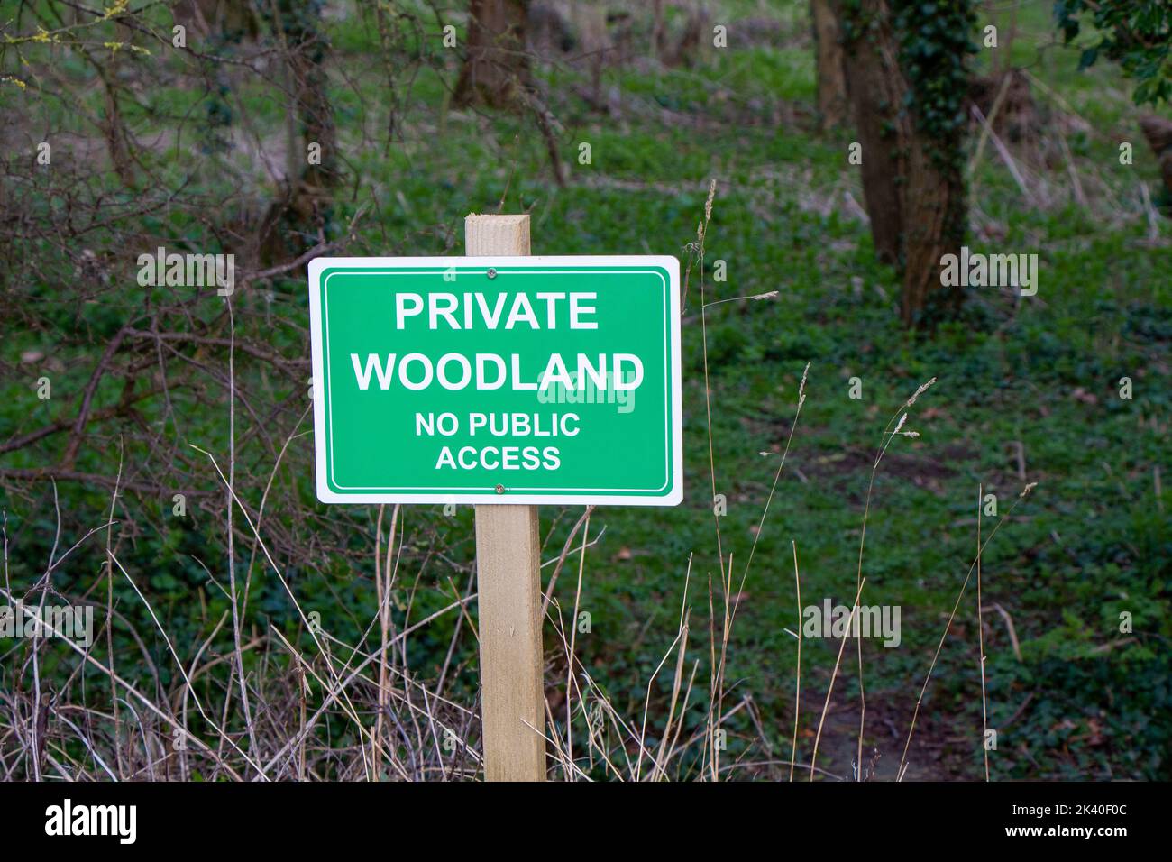Shiny new sign demarking a private wood Stock Photo