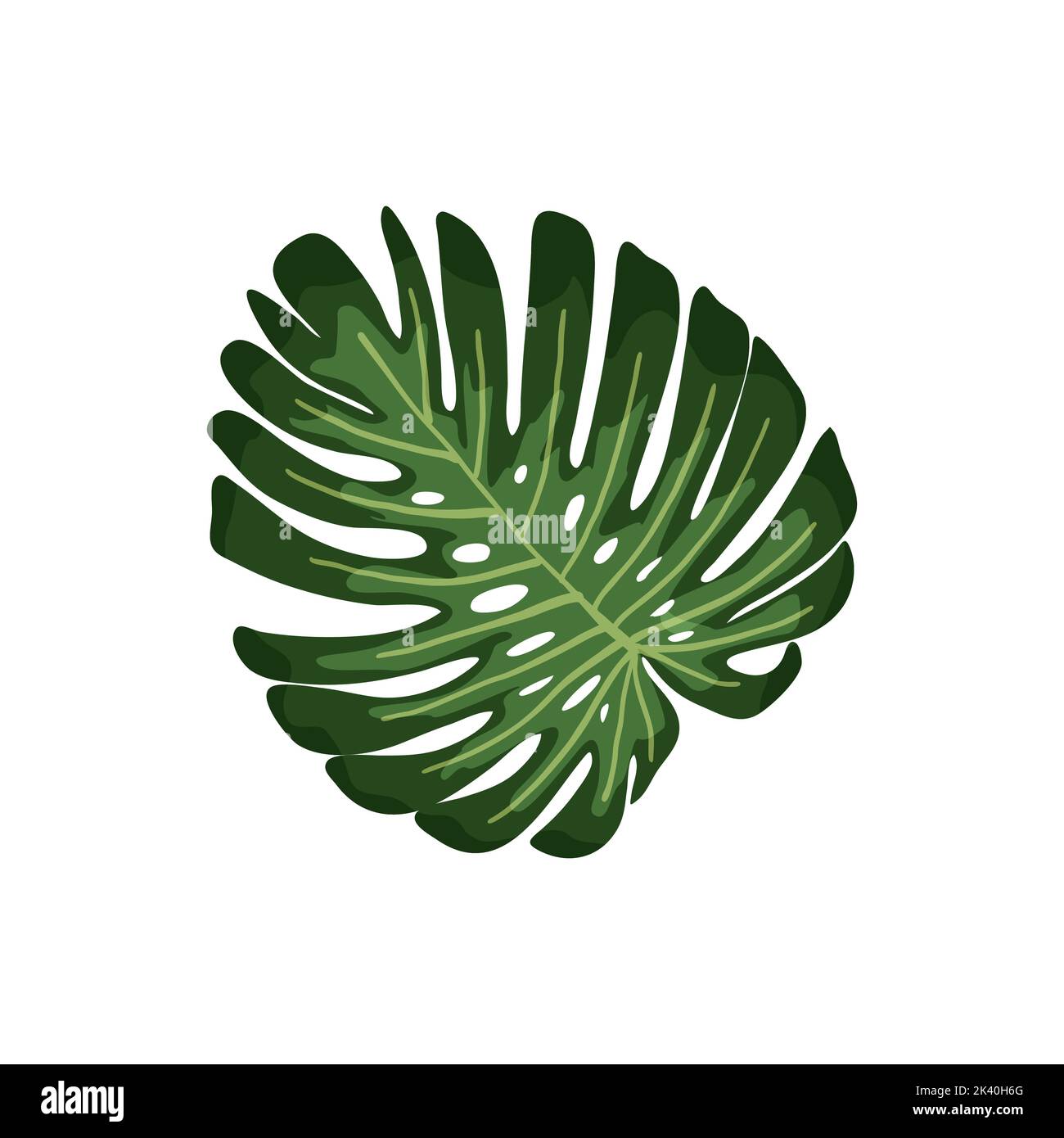 Tropical leaves. Botanical palm tropic leaf set. Vector foliage summer