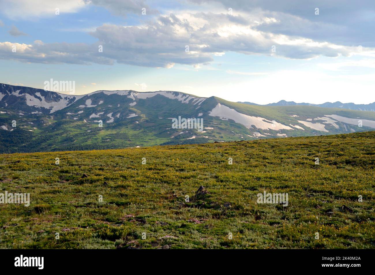 Landscape with forest mountains stock photo Stock Photo - Alamy