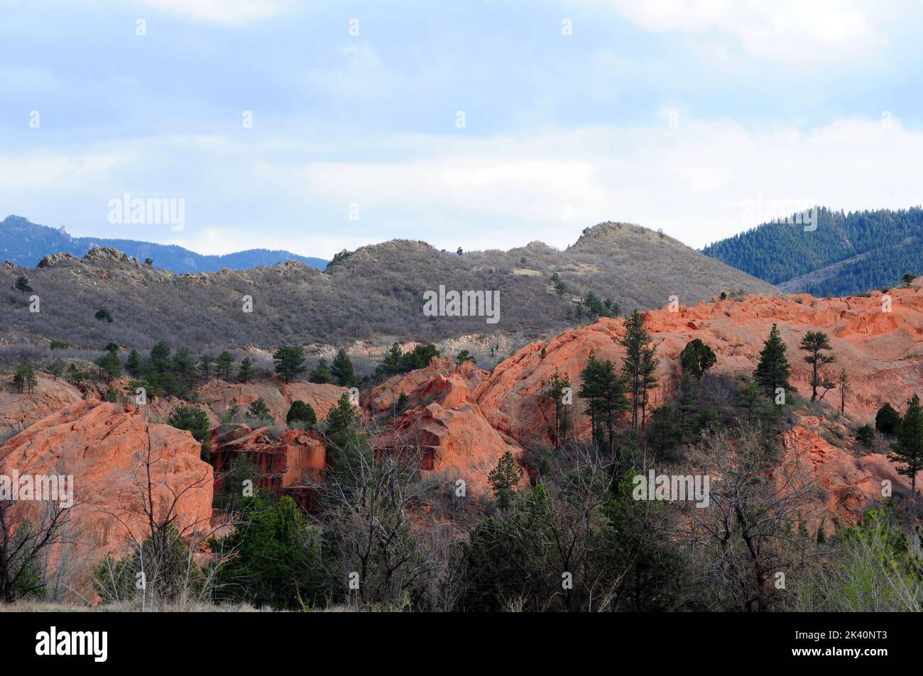 Landscape with forest mountains stock photo Stock Photo - Alamy