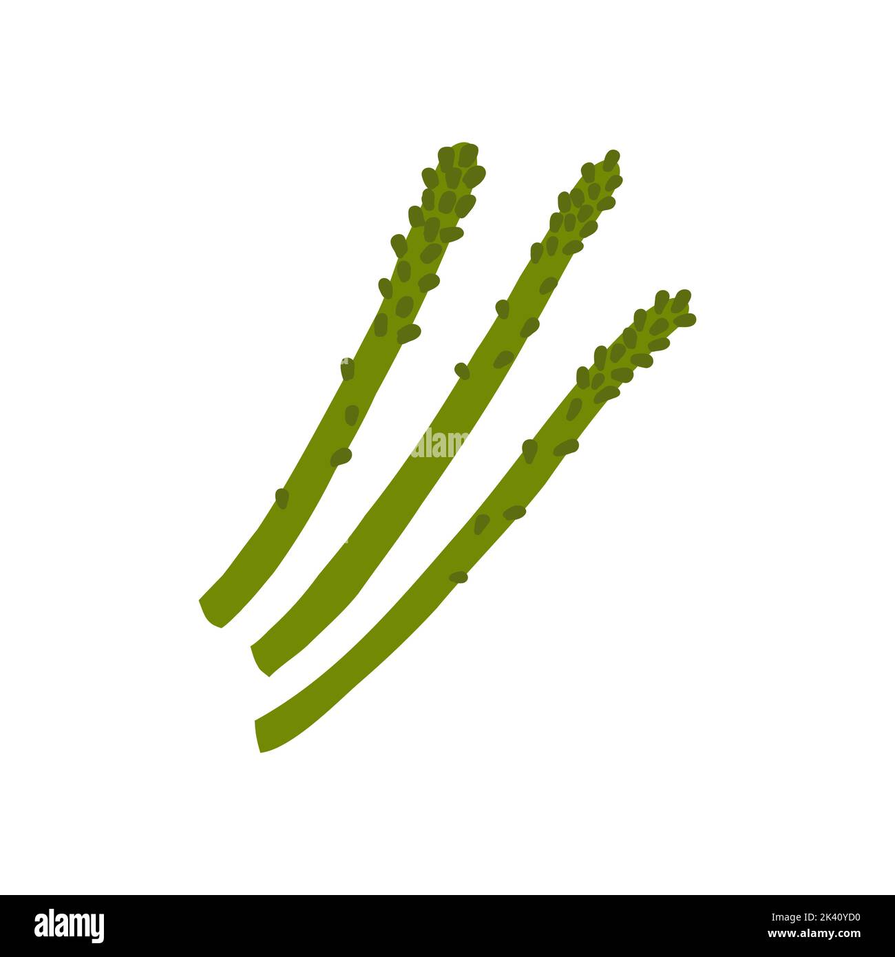 Bunch of asparagus cartoon. Fresh nutrition ingredint. Vector vegetable