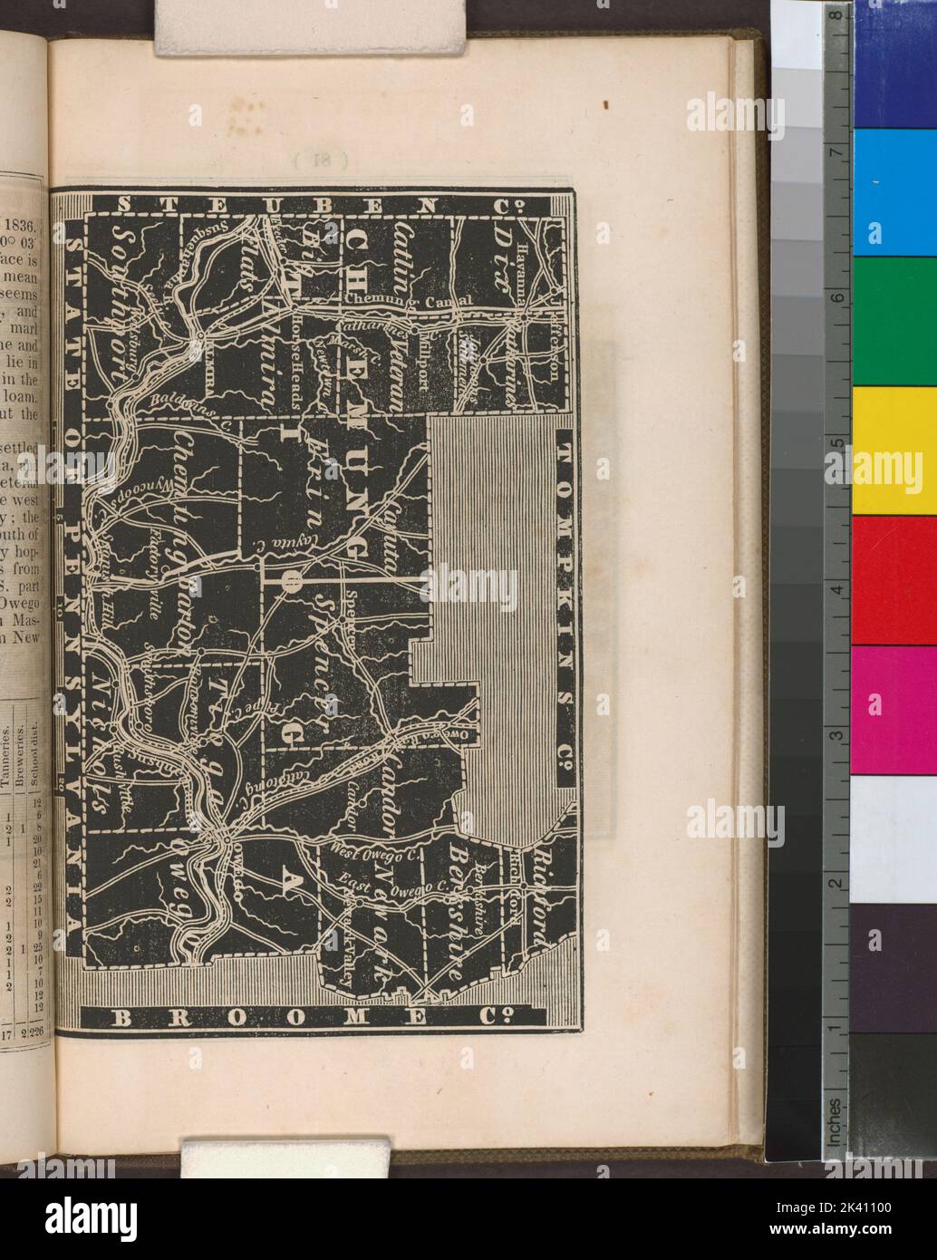 Chemung and Tioga Counties. Cartographic. Atlases, Maps. 1838. Lionel