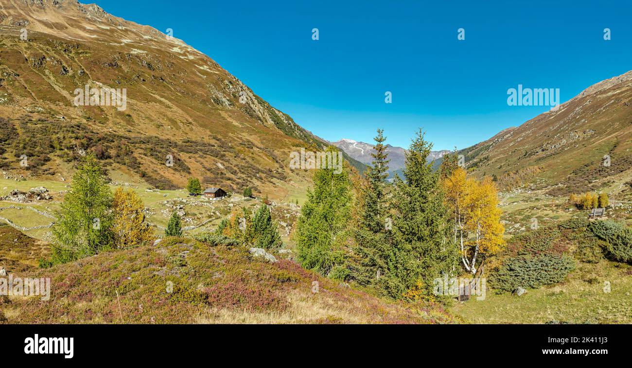 The Dischma valley *** Local Caption ***  Dürrboden,  Graubünden, Switzerland, landscape, field, meadow, trees, autumn, mountains, hills, Stock Photo