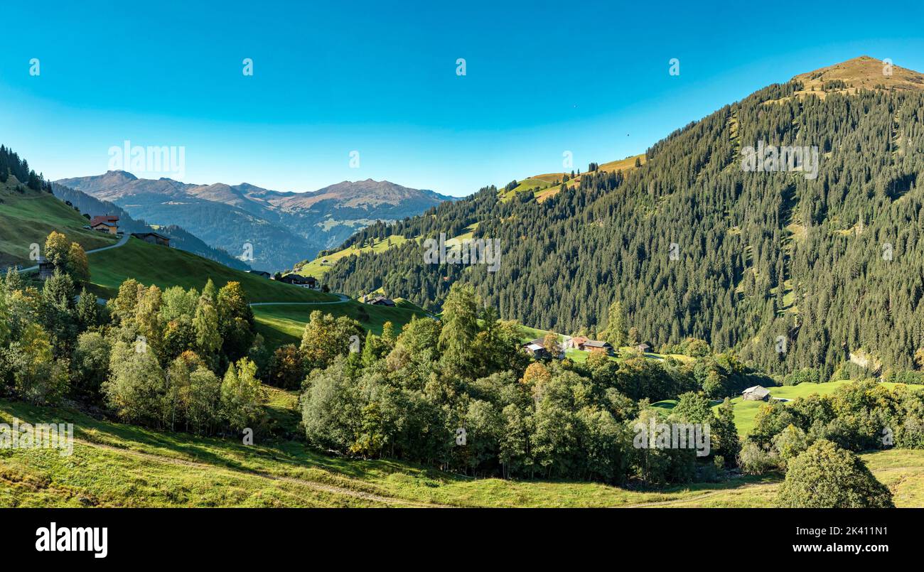Schanielenbach valley, Pratigau *** Local Caption ***  Sankt Antönien,  Graubünden, Switzerland, landscape, field, meadow, trees, autumn, mountains, h Stock Photo